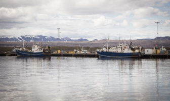 Kvótakerfið er eyðingarafl: Byggðirnar við Ölfusárósa hafa tapað 4,2 milljörðum