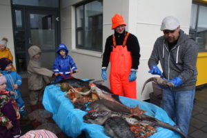 fiskasyning-bergheimar-2016-1